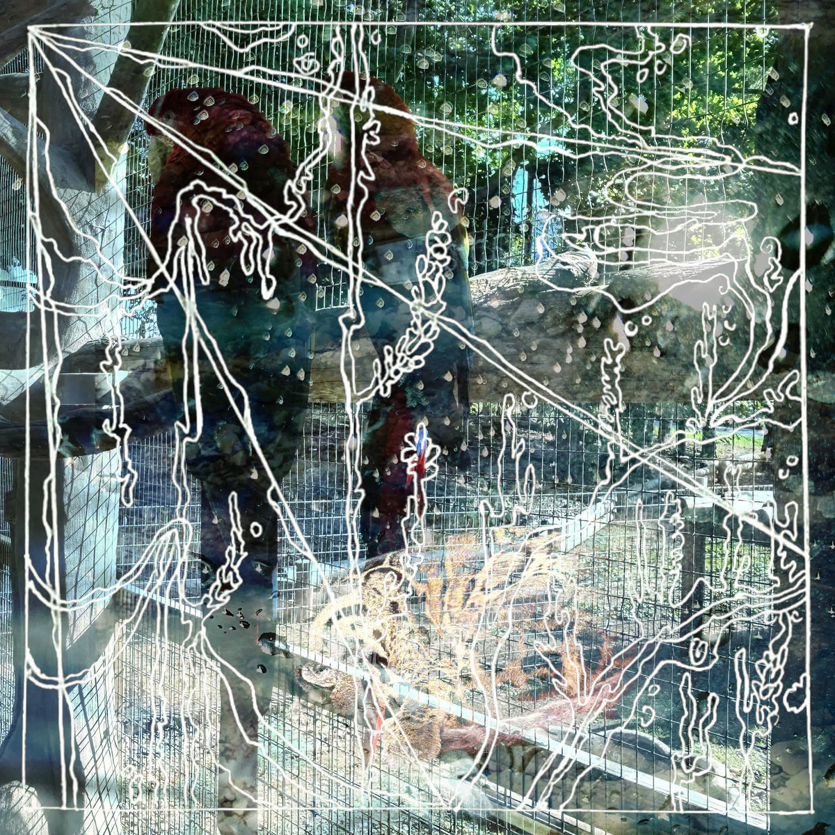 Secret Animals album art